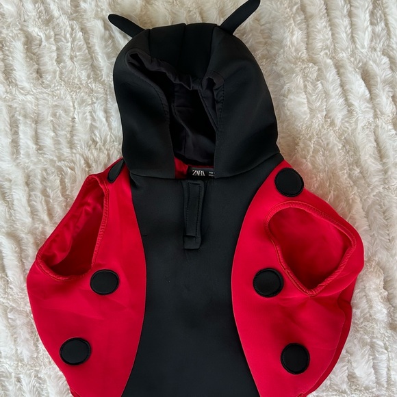 Zara Ladybug Costume 2T - Picture 2 of 8